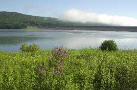 picture of Cowanesque Lake