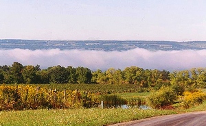 picture of FingerLakes Natl Forest
