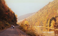 picture of lake views from Pine Creek Rail Trail