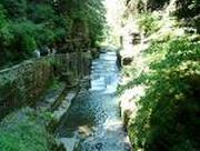 picture of Robert Tremain State Park